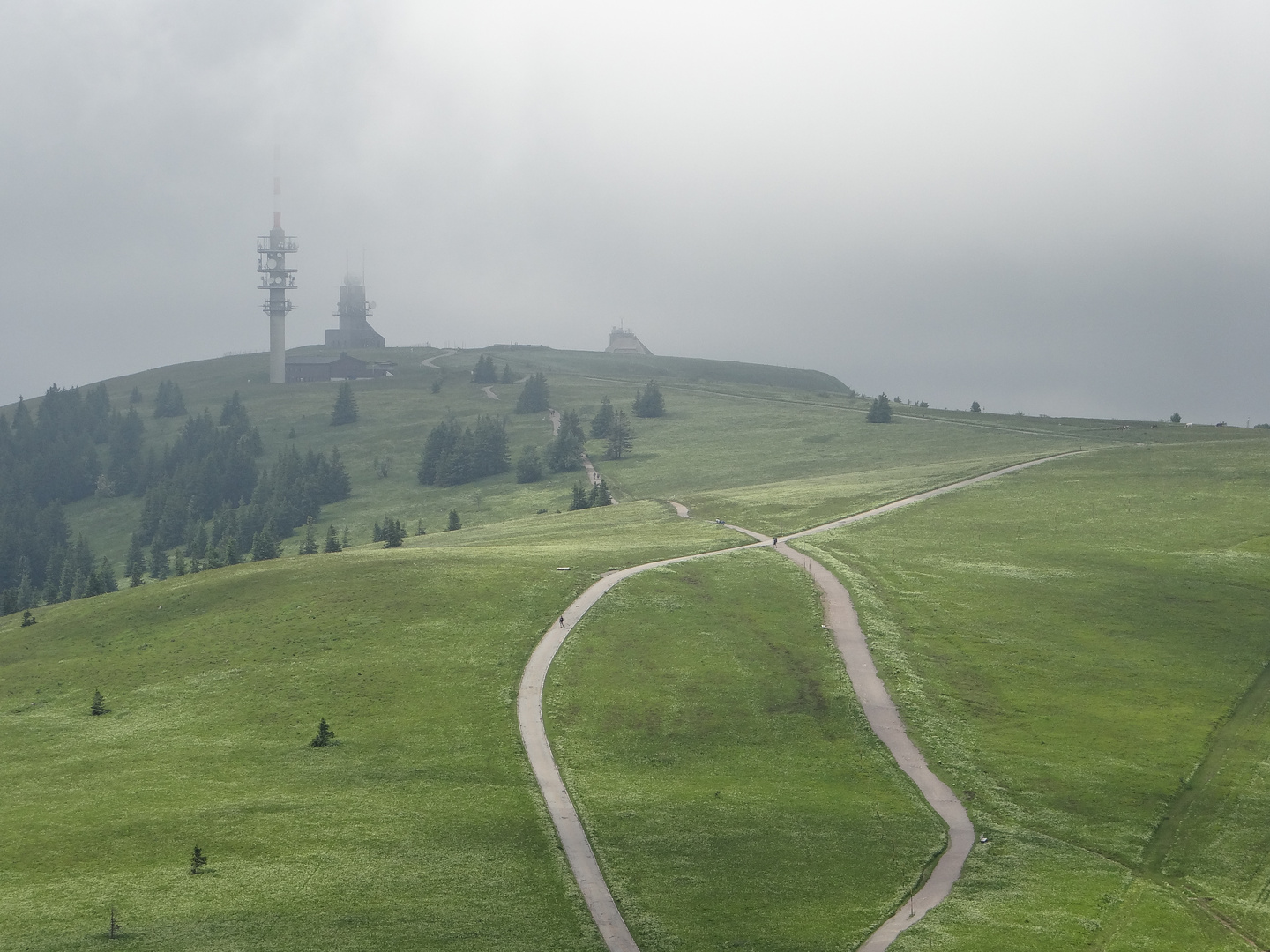 Feldberg-Gipfel