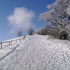 Feldberg im Januar