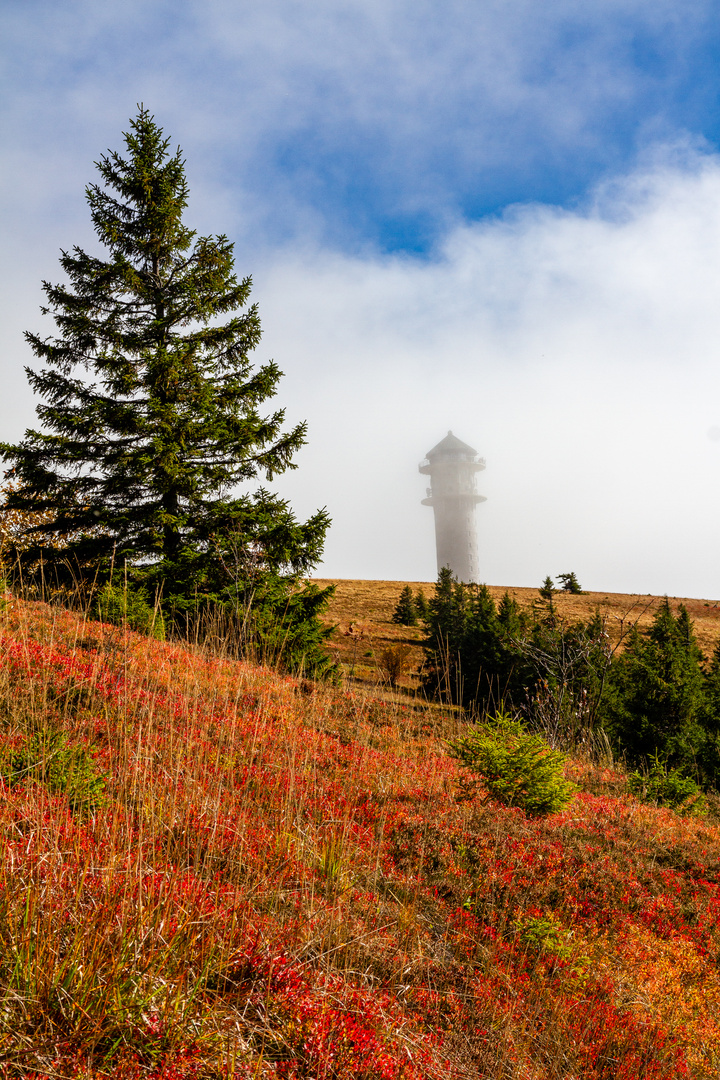 Feldberg im Nebel