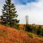 Feldberg im Nebel