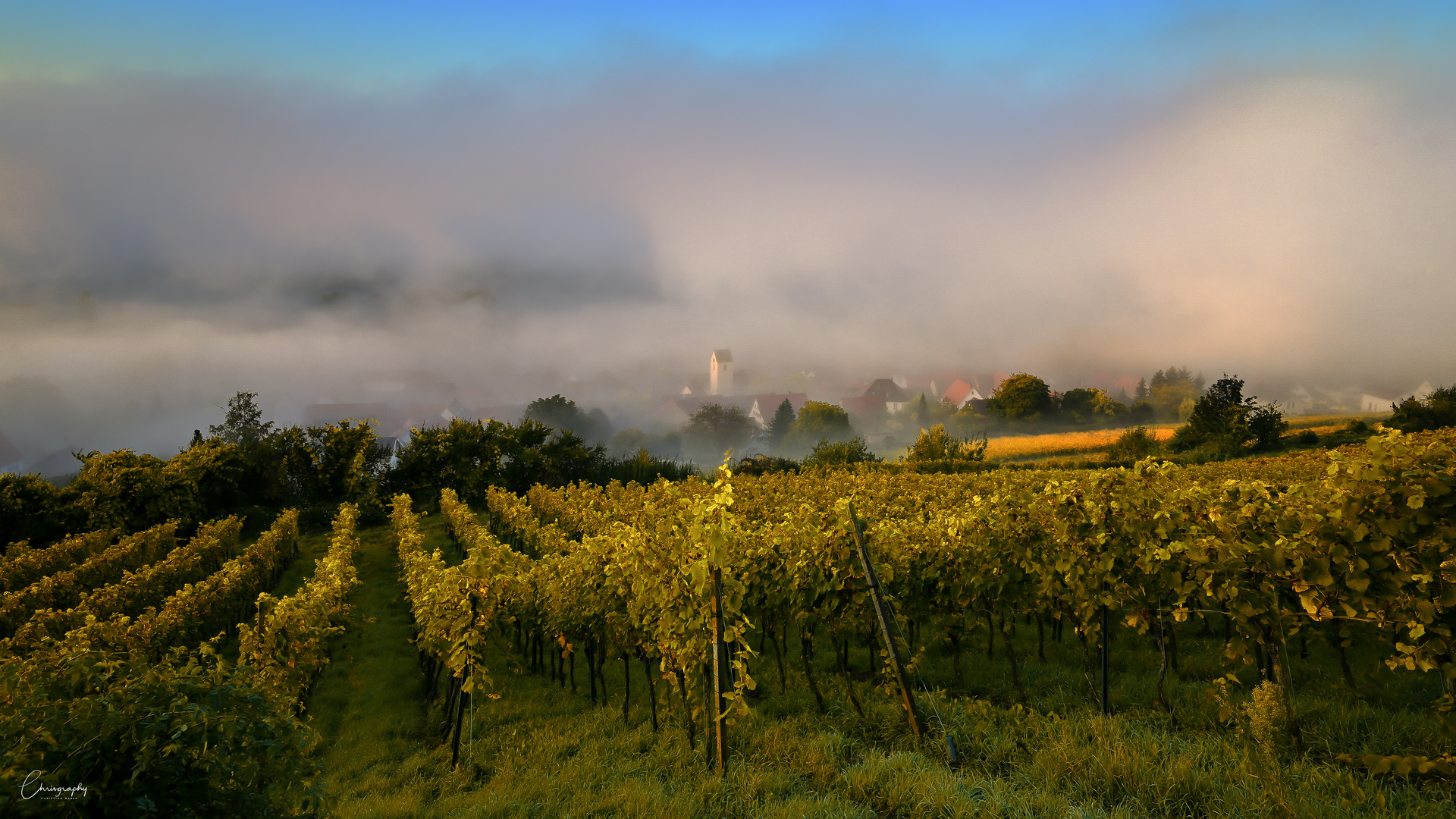 Feldberg im Nebel