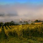 Feldberg im Nebel