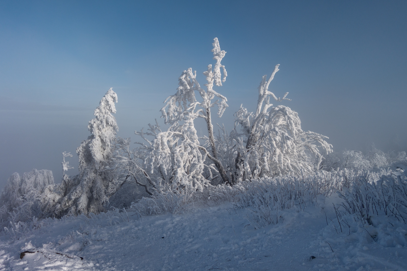 Feldberg im Schnee