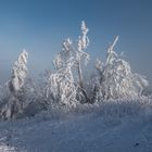 Feldberg im Schnee