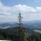 Feldberg im Schwarzwald