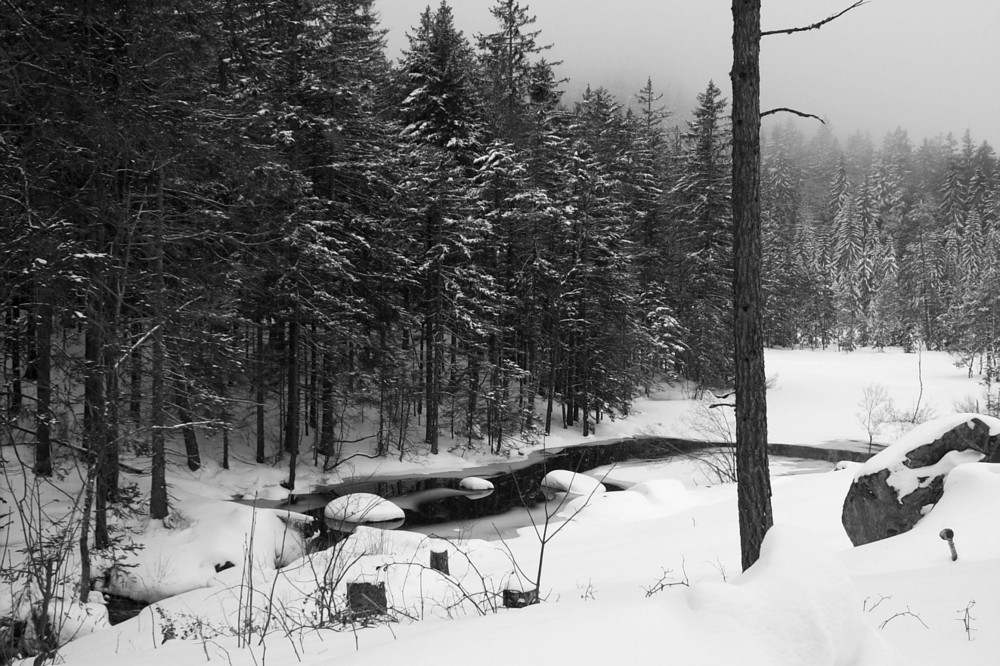 Feldberg im Schwarzwald