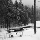 Feldberg im Schwarzwald