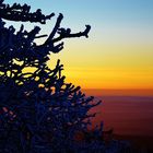 Feldberg im Taunus.