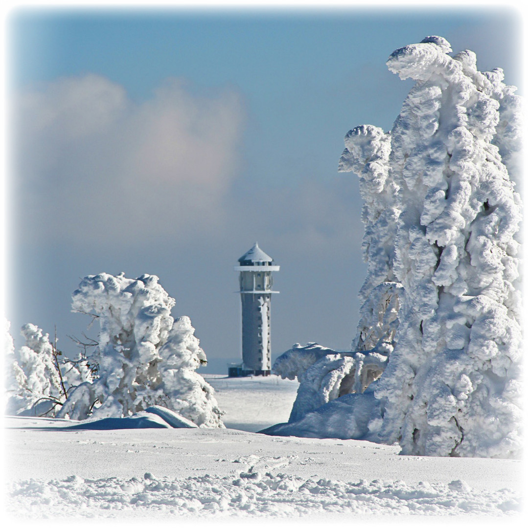 Feldberg im Winter II