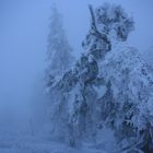 Feldberg im Wintergriff