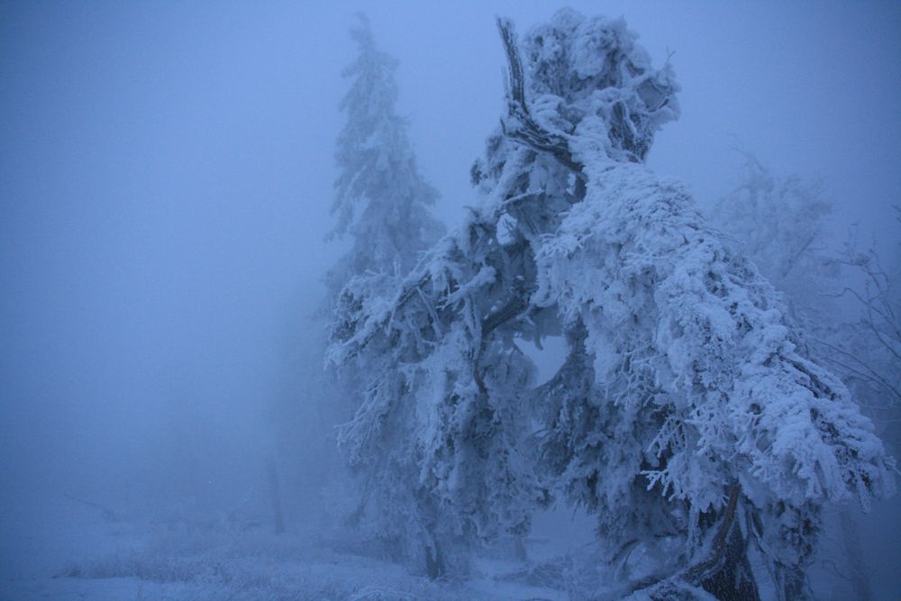 Feldberg im Wintergriff