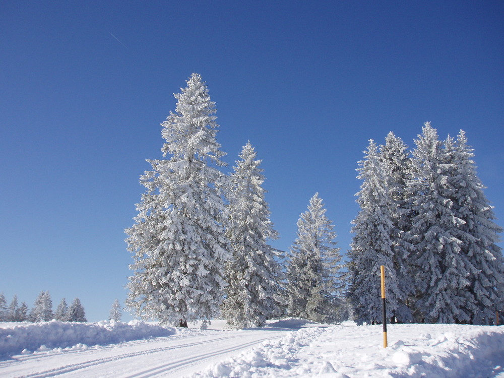 Feldberg Impressionen