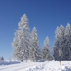 Feldberg Impressionen