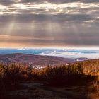 Feldberg in Taunus 