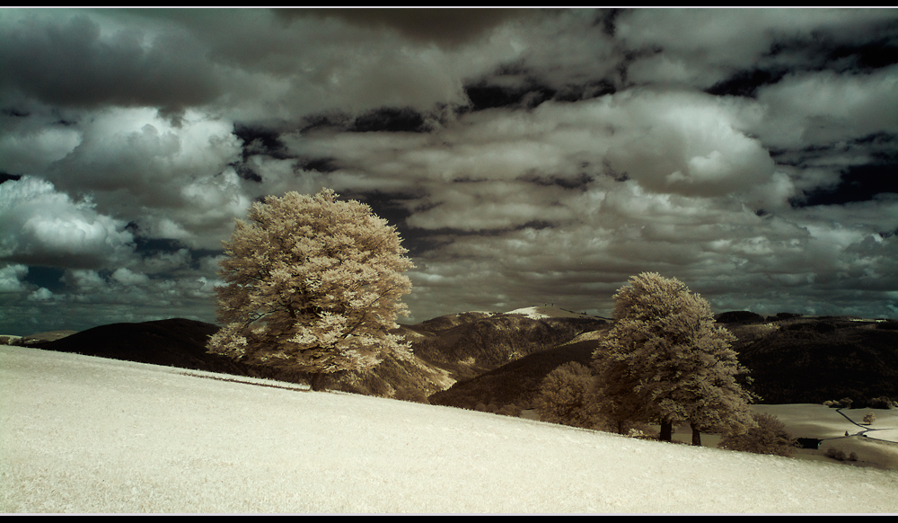 Feldberg IRrer 2. Versuch