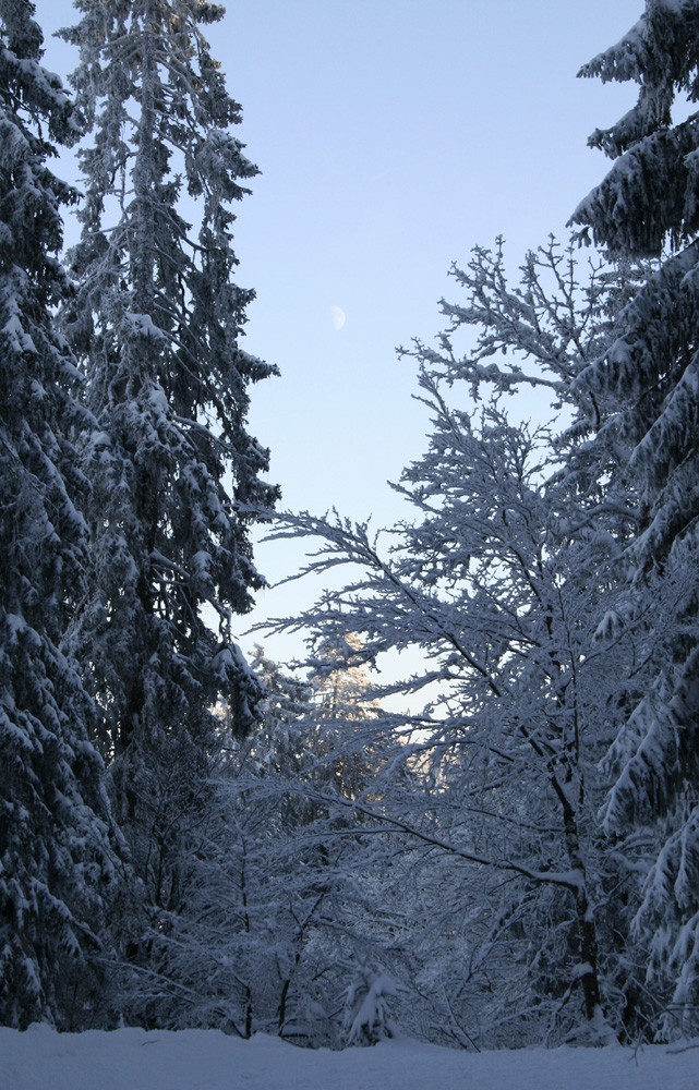 Feldberg Mond