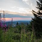 Feldberg-Natur am Abend