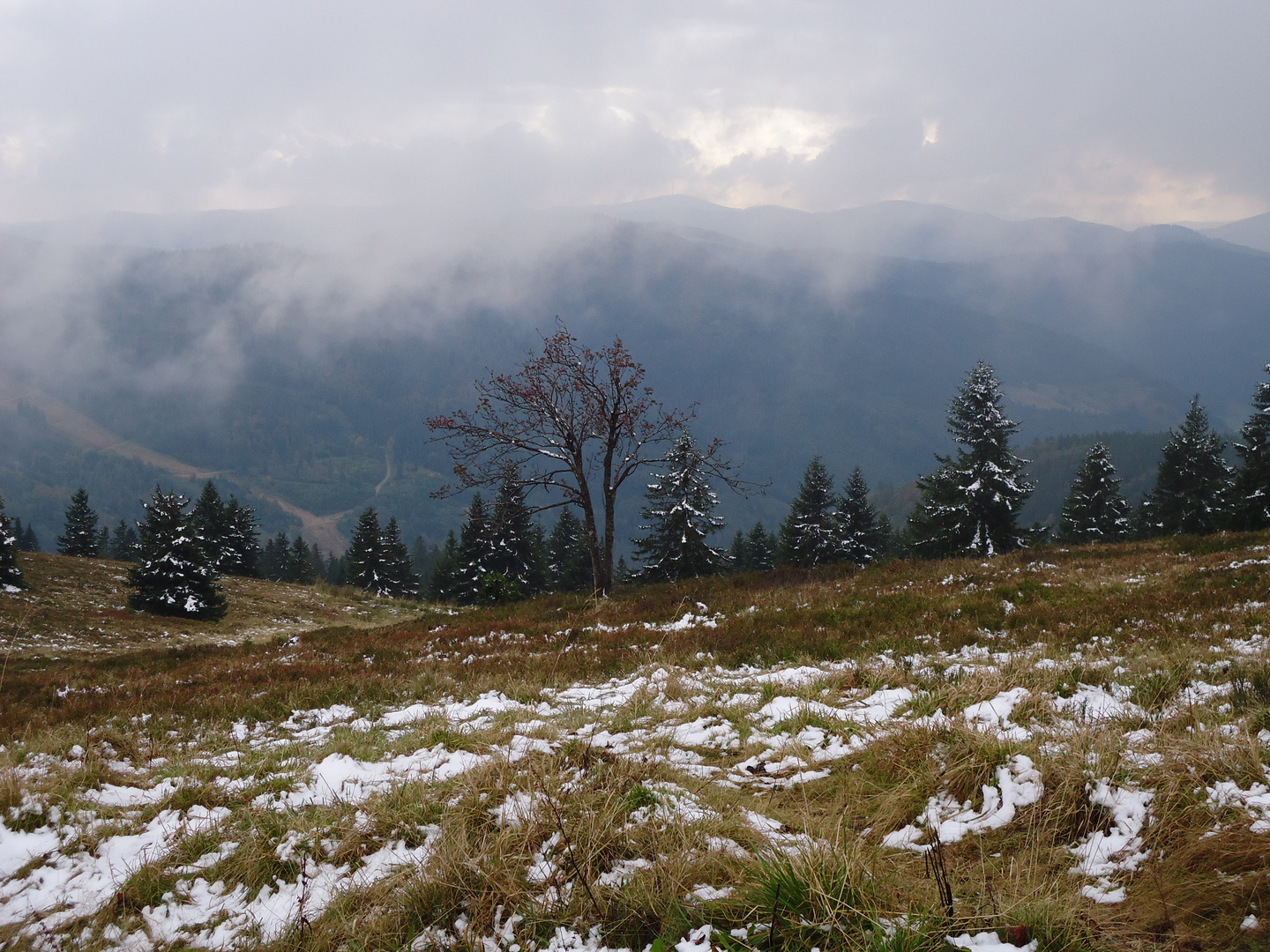 Feldberg-Nebelspiel