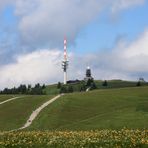 Feldberg Schwarzwald