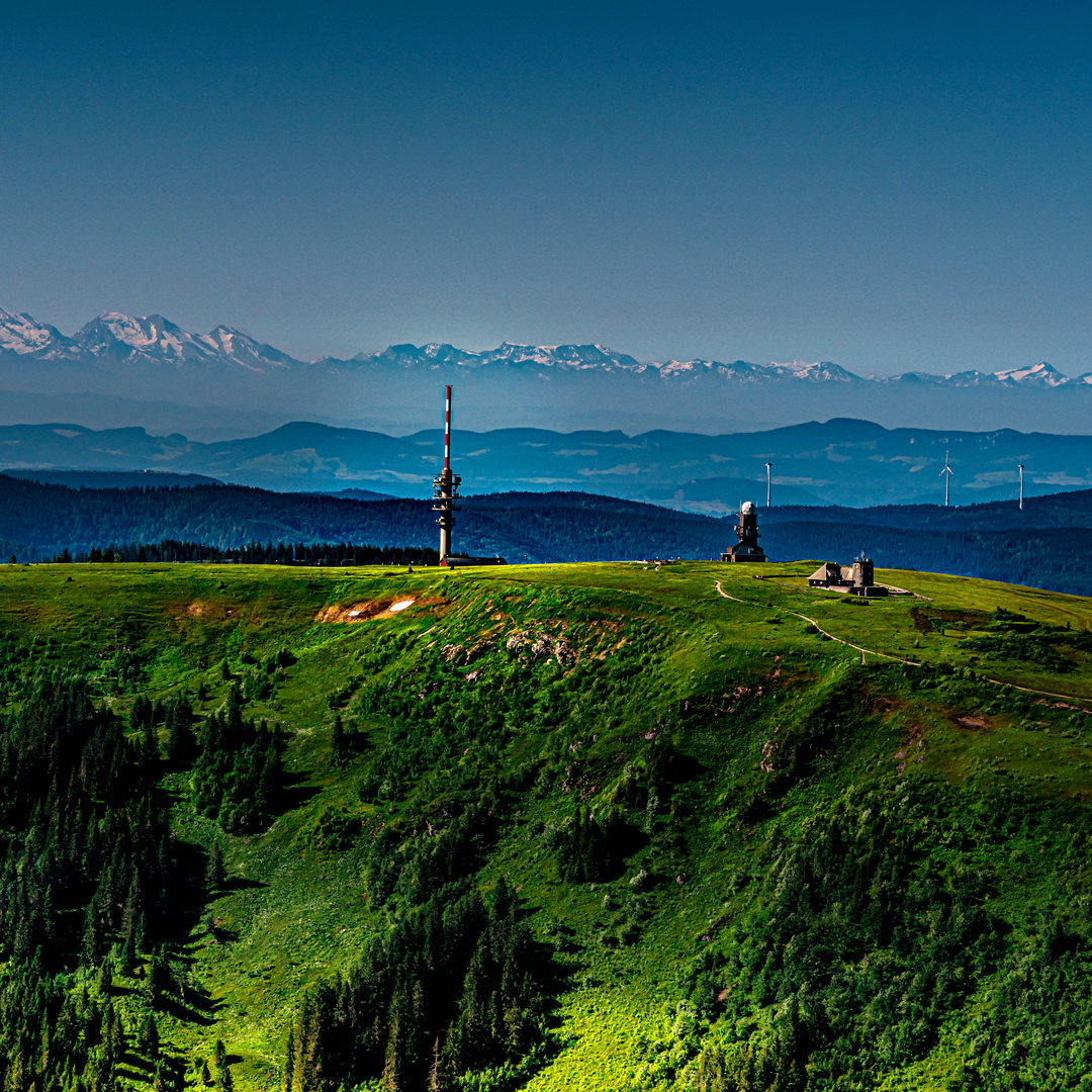 Feldberg Sommer 