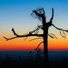 Feldberg Sonnenuntergang