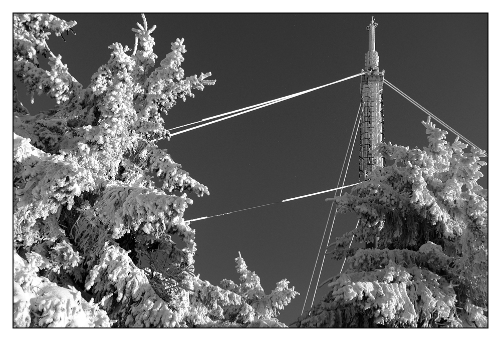 Feldberg statt Fastnacht - 2