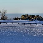 Feldberg / Taunus