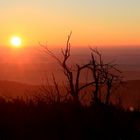 Feldberg Taunus