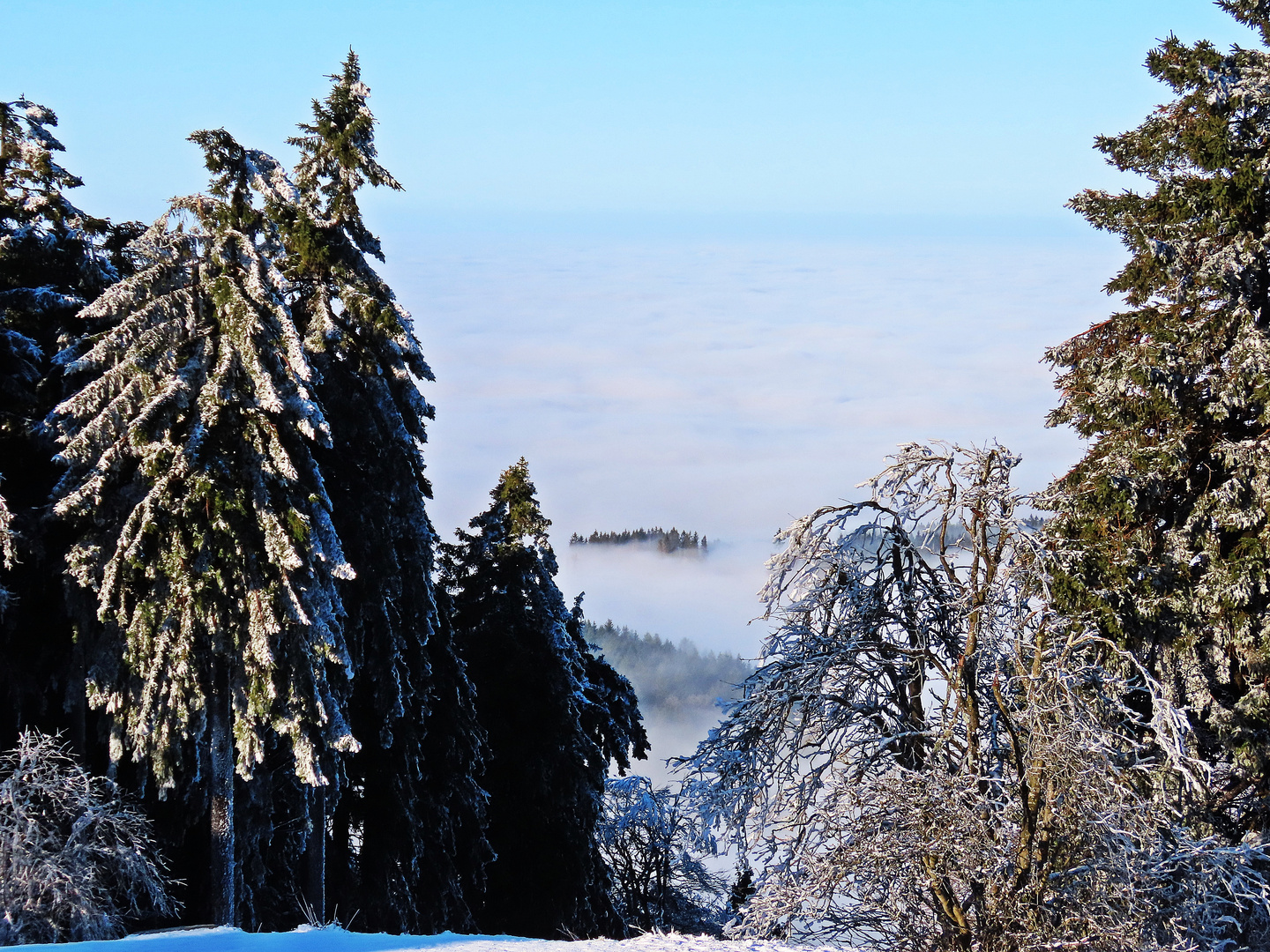 Feldberg/ Ts.