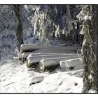 Feldberg, vor einen Jahr