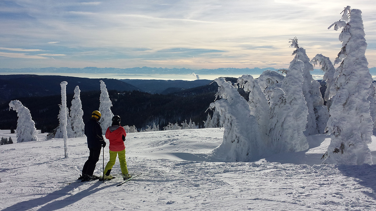 Feldberg-Winter