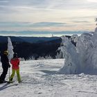 Feldberg-Winter