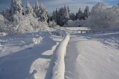 Feldberg Winterzauber