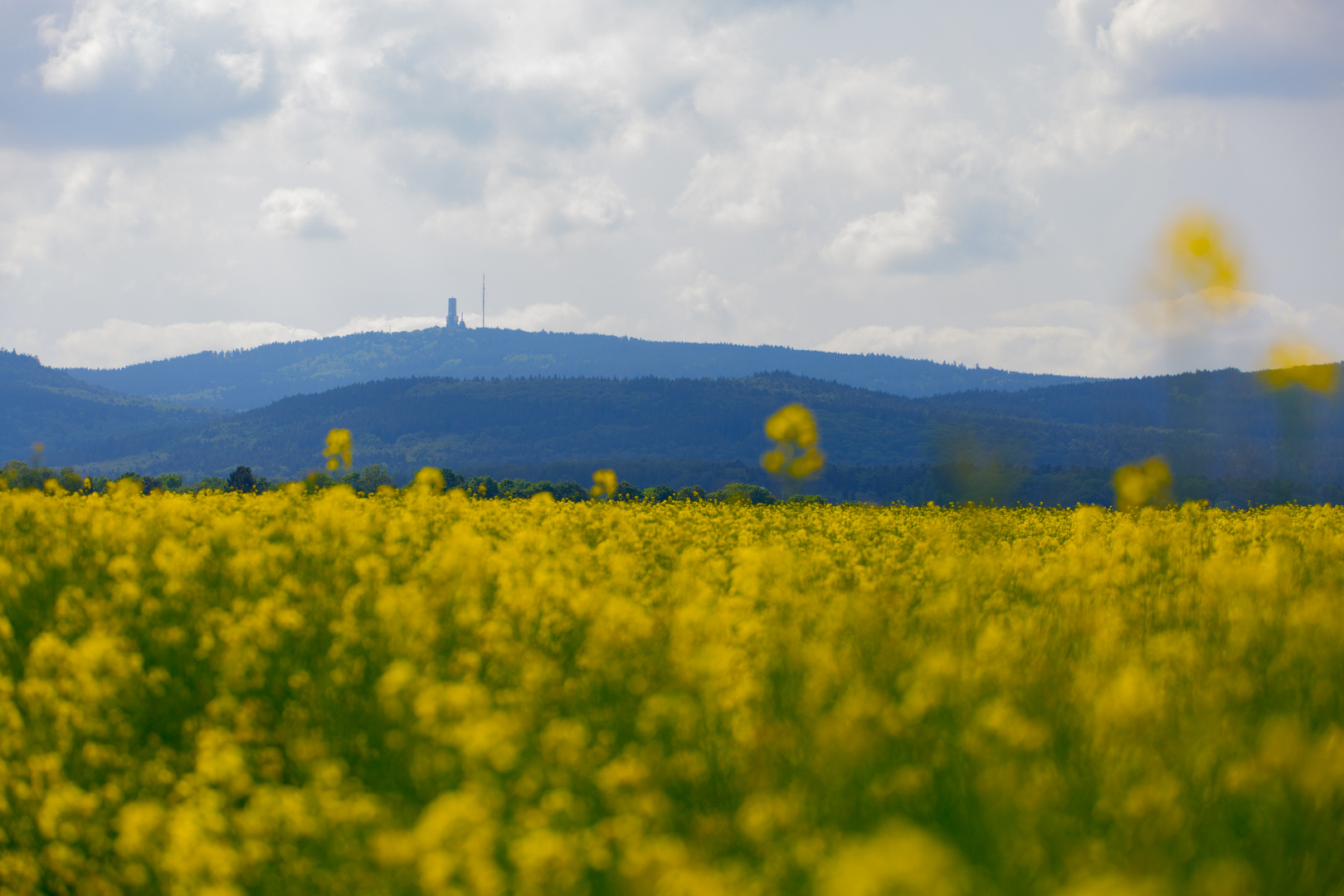 Feldbergbilck