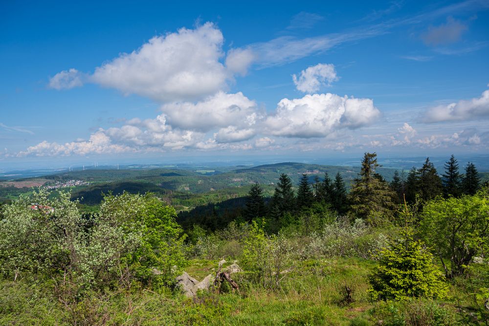 Feldbergblick 2021