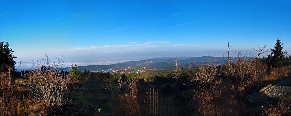 Feldbergblick