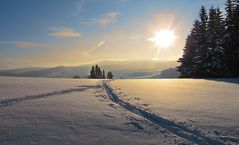 Feldbergblick