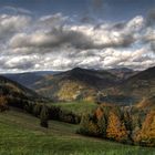 Feldbergblick