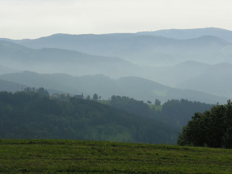 Feldbergblick