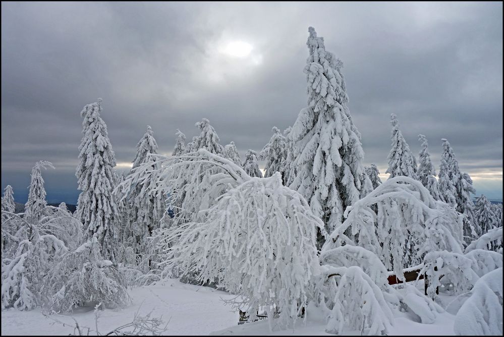 Feldbergblick im Schnee