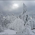 Feldbergblick im Schnee