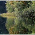 Feldberger Seenlandschaft 1