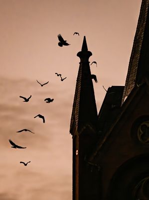 Feldberger Seenlandschaft...