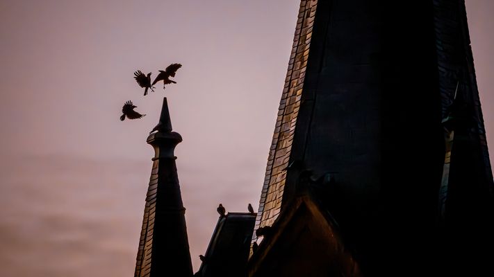 Feldberger Seenlandschaft...