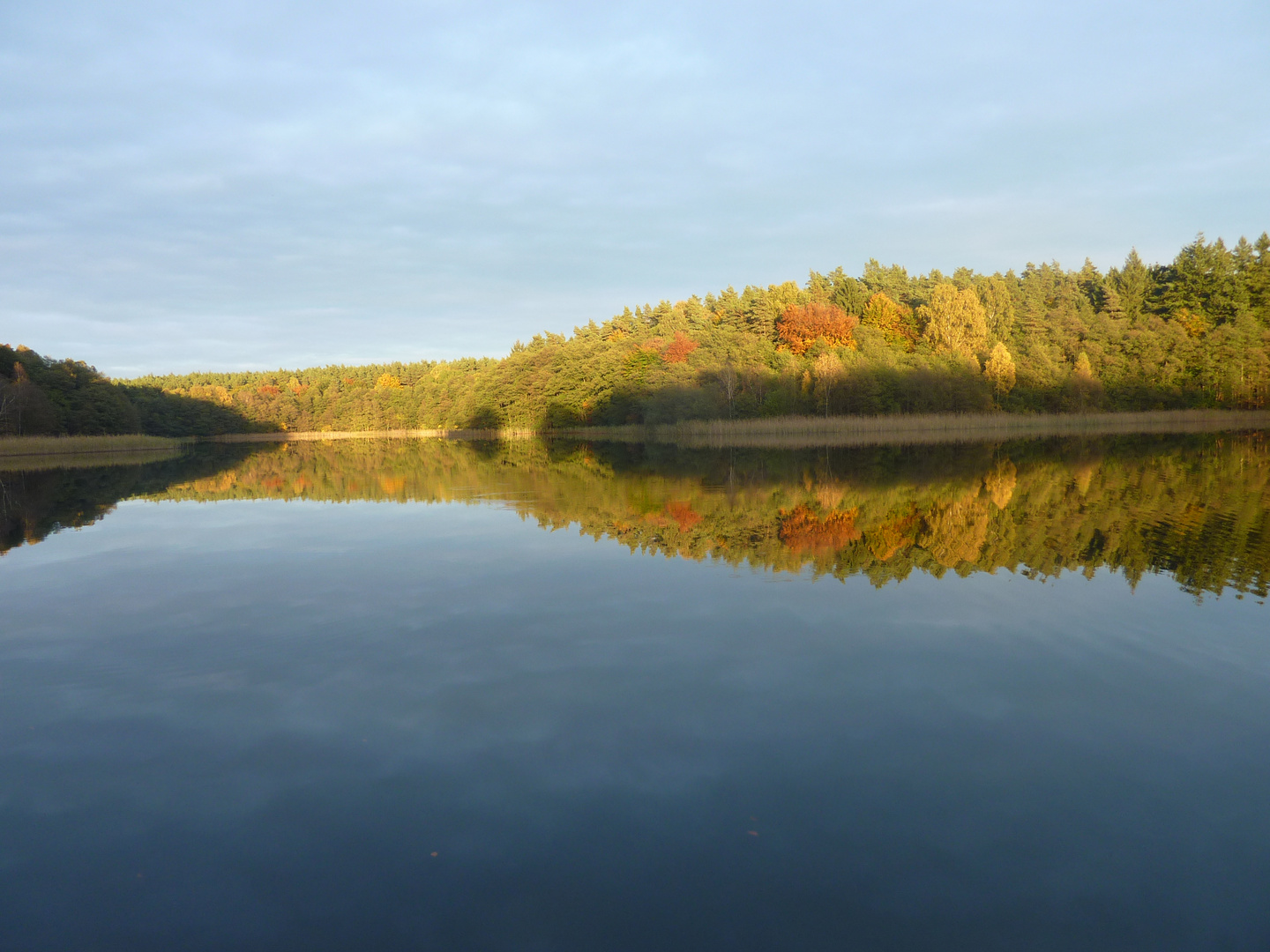 Feldberger Seenlandschaft Pt. 3