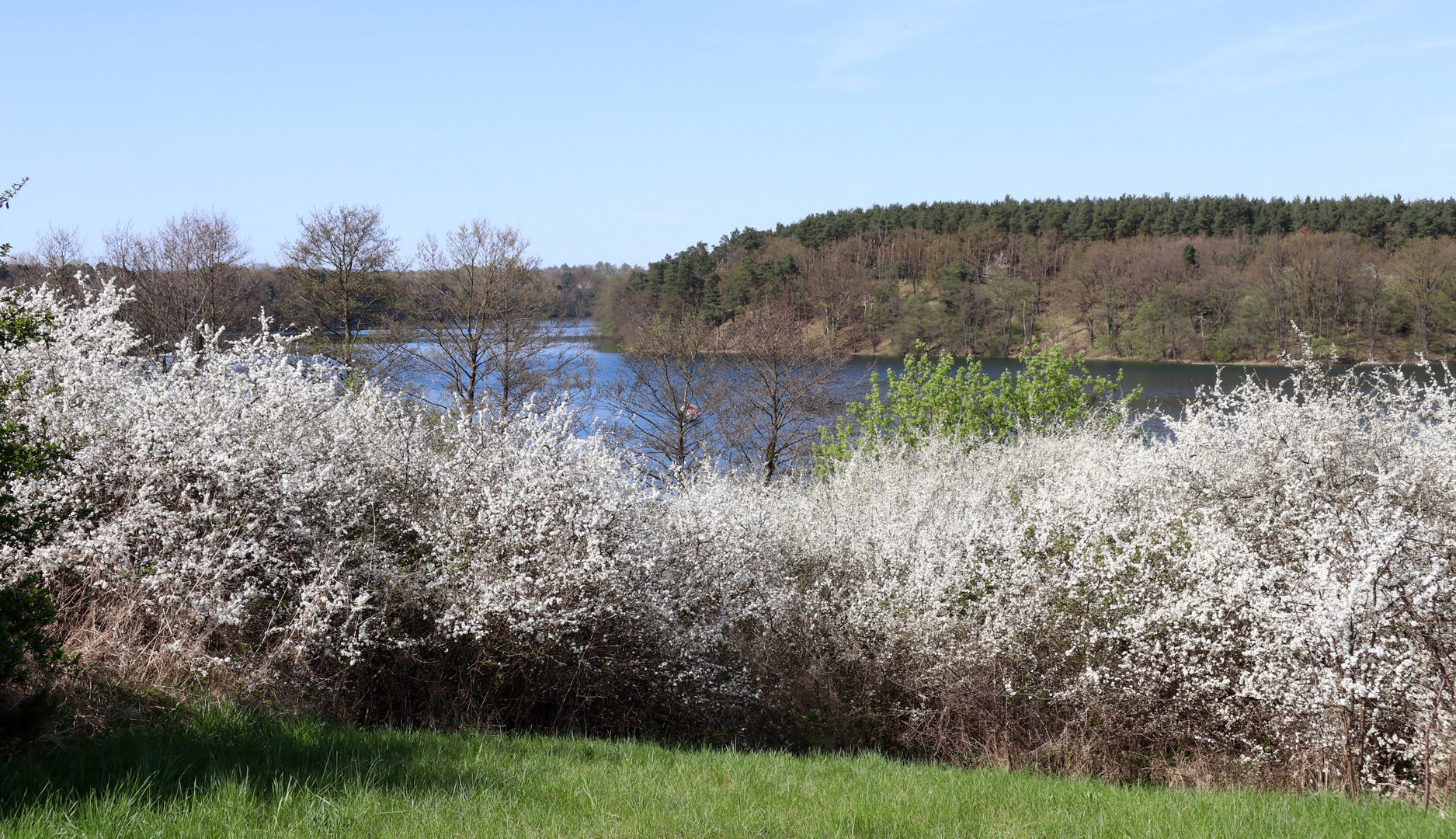 ... Feldberger Seenplatte ...