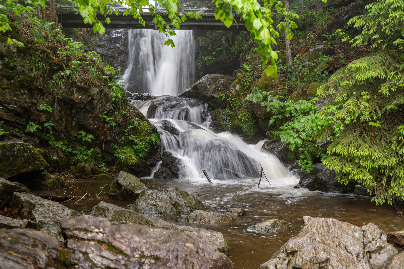 Feldberger Wasserfälle 2