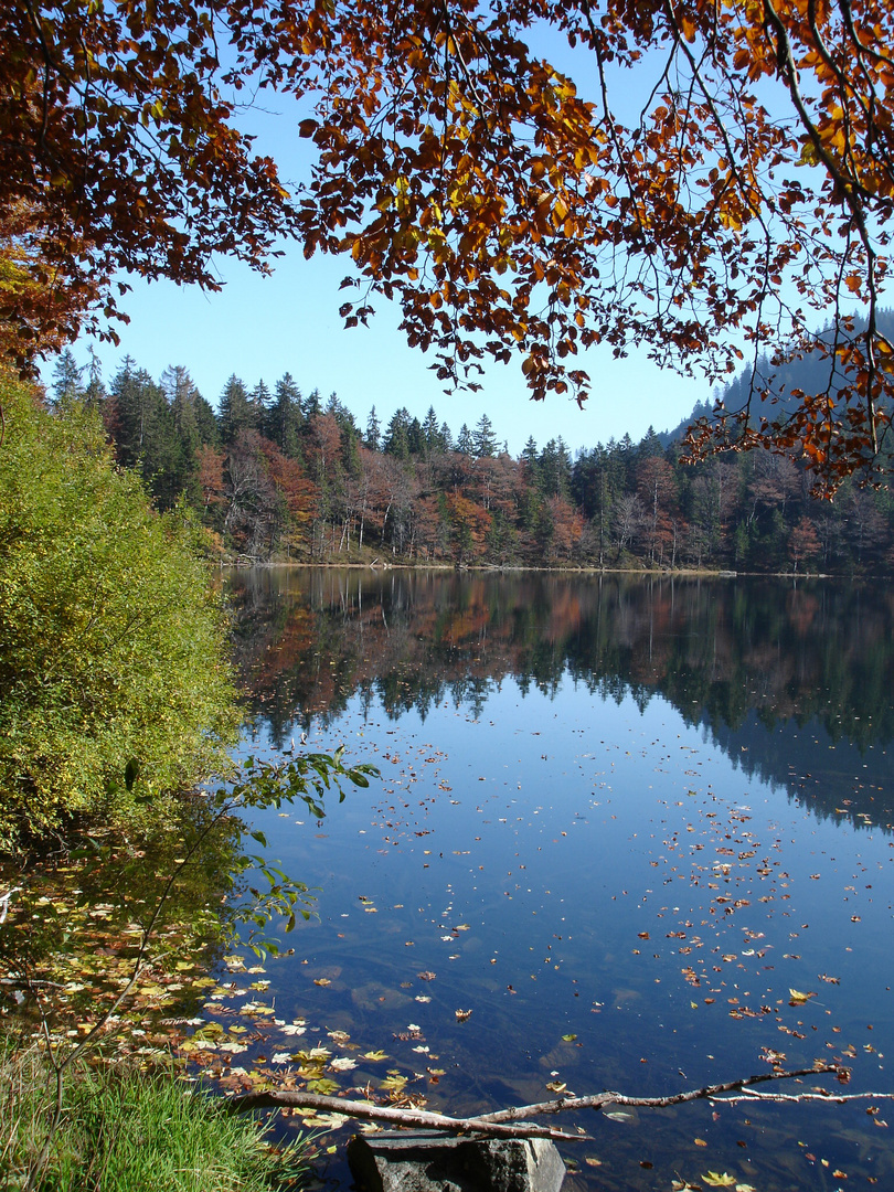 Feldbergsee