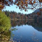 Feldbergsee