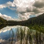 Feldbergsee